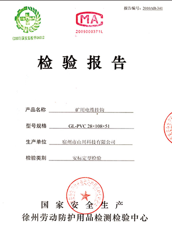 檢驗(yàn)報告